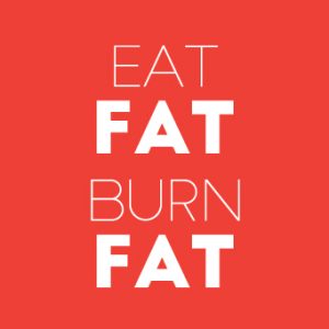 portfolio le fat chat